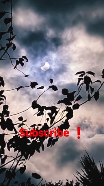 ЗАТМЕНИЕ СОЛНЦА в Германии #shorts