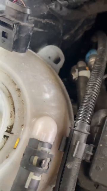 The Volkswagen SILICA Bag