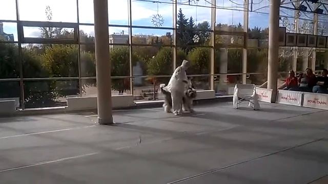 Головина Майя и Марси 