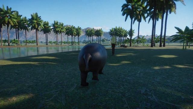 Planet Zoo - Pygmy Hippo