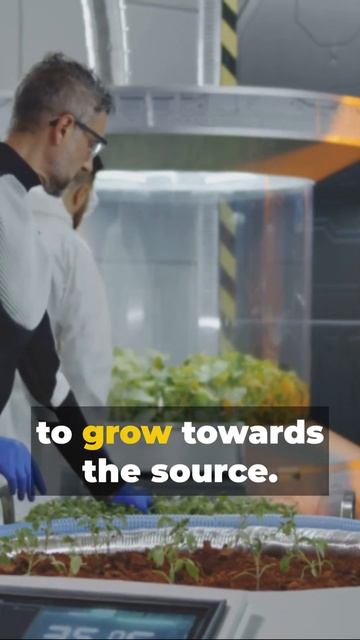 Space Greens: 3 Facts About Space Garden  #cosmicdiscoveries #astronomy #universe #cosmology