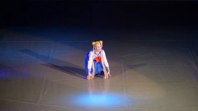 1 1  OCDE 252, Sailor Moon, Усаги Цукино   РозЭль, г Плавск