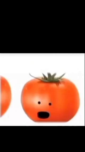 8 апреля 2024 г.