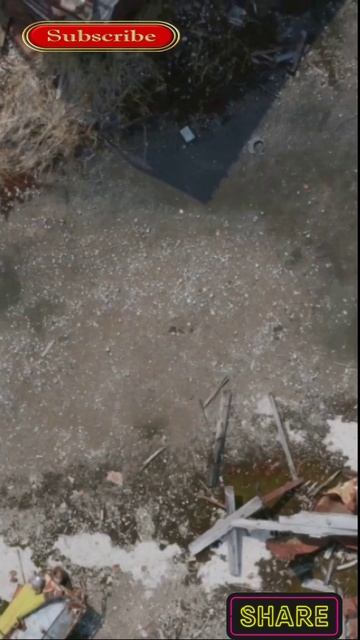 Bc501f7060d6d9e62e2e515d0aea1a3c