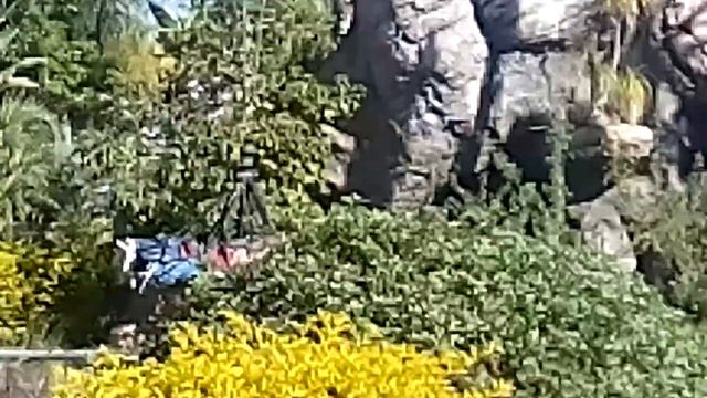 SuperLand  -  Rishon LeZion