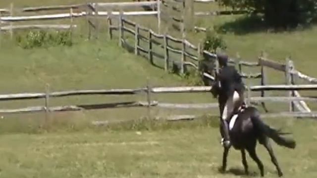 Alison Eastman Lawler & Otto Rocket Stadium