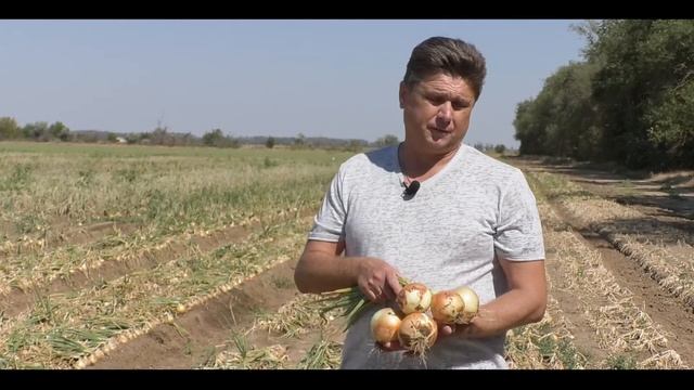 96f209c14f701da4b6858d6bc238fedc