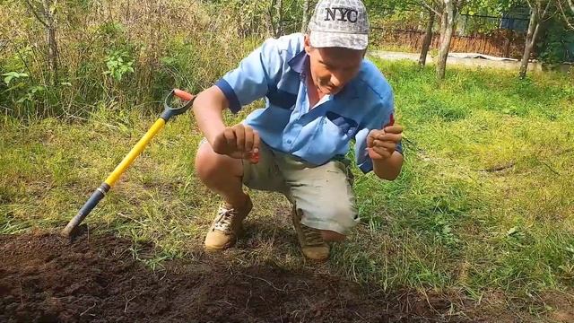 00879ae946ea55b4be5cbdbe1035a738