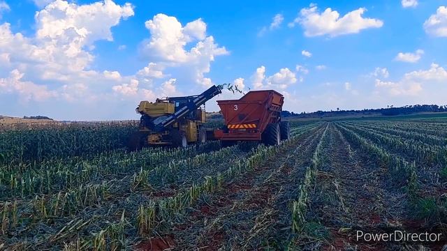 Oxbo 8420xp, Case Puma 165 And New Holland T6050 Harvesting Sweet Corn!