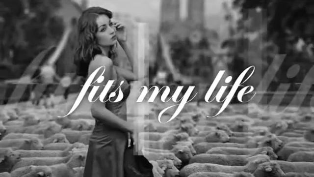 93569c59c5d98d193a282a6c19addb7a