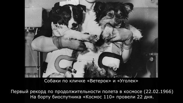 Первопроходцы космоса - познавательная программа