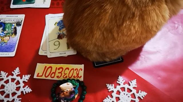 КОЗЕРОГ♑. 11-20 ДЕКАБРЯ.Влюблённость🍓 и соблазн. СОЛНЕЧНОЕ 🔆ЗАТМЕНИЕ. М* А* К