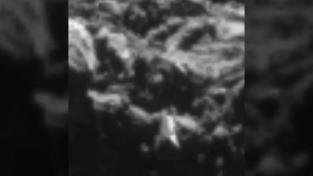 D09073ca58809afb27ee335b5f3723af