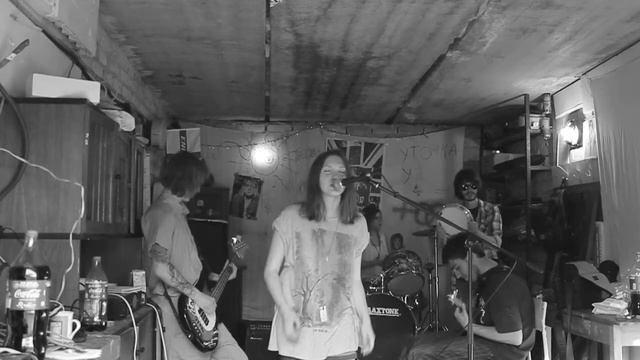 Sleeping Hummingbird - Кот V1