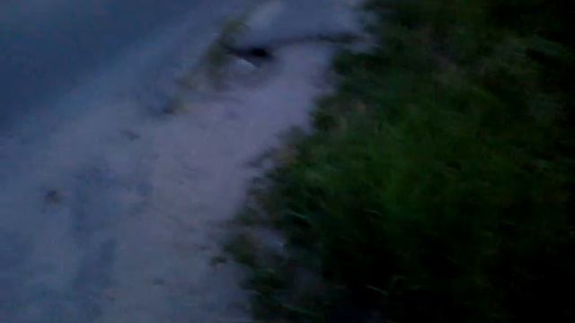 B1fec3e6a949db94893784d7d53783ca