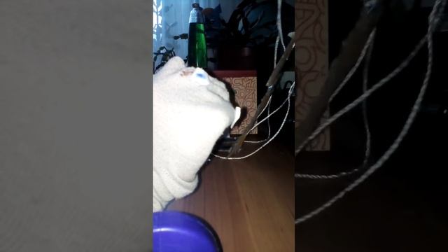 Видео для детей учим буквы и правила правописание