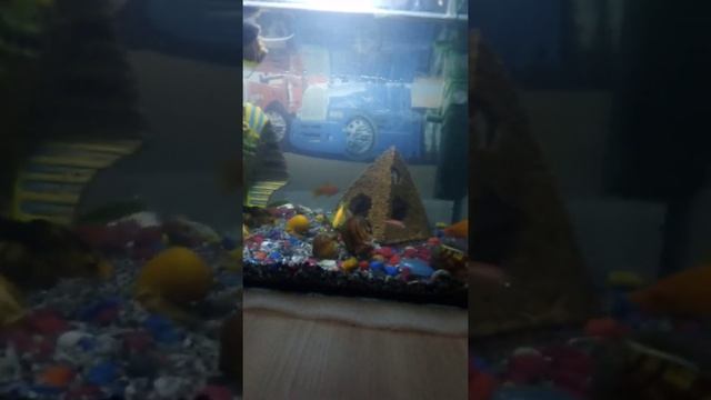 Отвечаю на вопросы