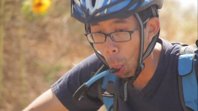 Cc75849dd5d9460650900ca8a061253b