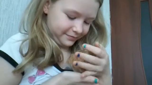 Моё домашнее животное:Хомячок