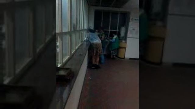 Верка Сердючка Звезда