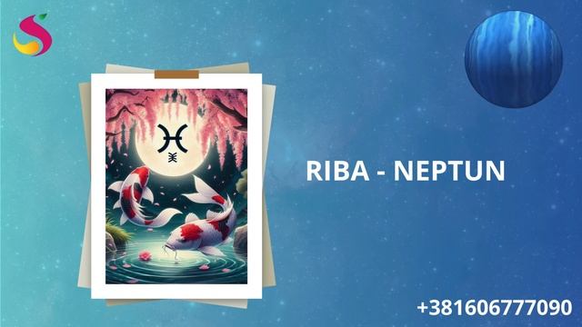 Uticaj Umetničkog  Neptuna Na Nežne Ribe - Suzana Apostolov