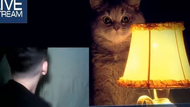 Ночной стрим / оценка каналов/ 5 часов челенж?