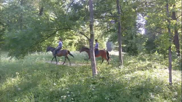 Лето-2011 (1 часть)