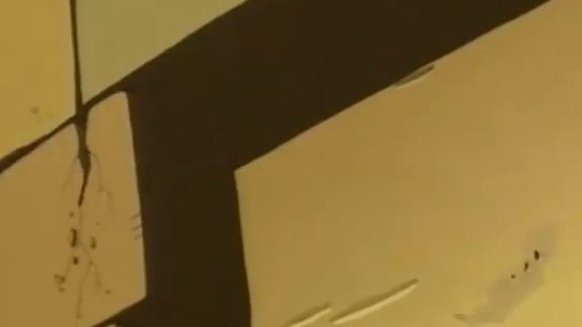 03-[Marsupilami]- Сын Марсупилами