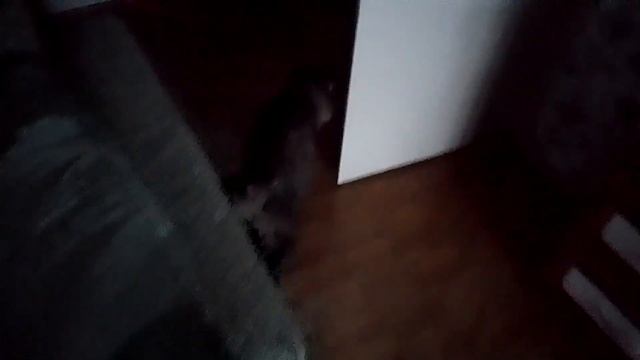 85d1975e764263966c1a0d4a501af022