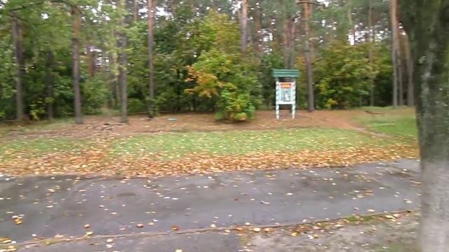 Остановочный комплекс по адресу  пр-т Лесной 33