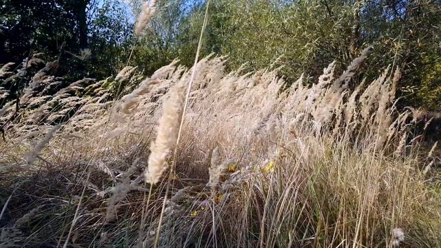 B139ebc78f83da29e57a37129cffa539