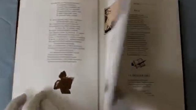 Пушкин  Книга в подарок