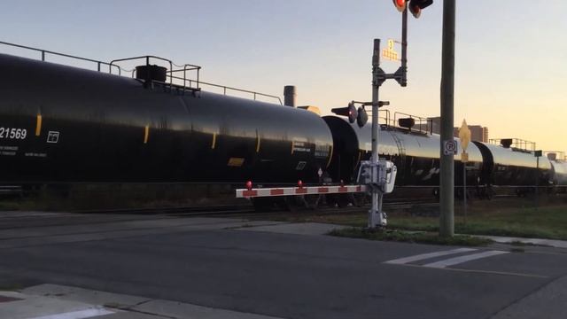 Canadian National Manifest/An Obscured VIA Train At CN McLeod, London, Ontario.
