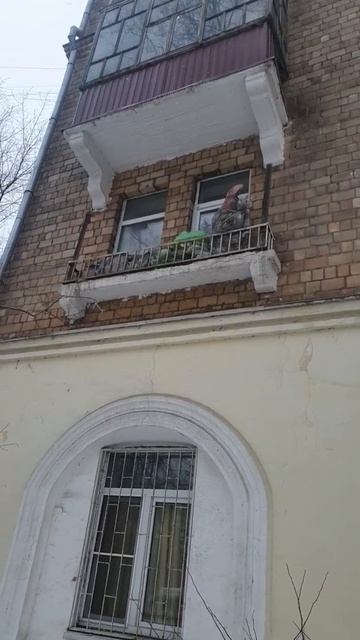 Самые самые маленькие балконы в России #shorts