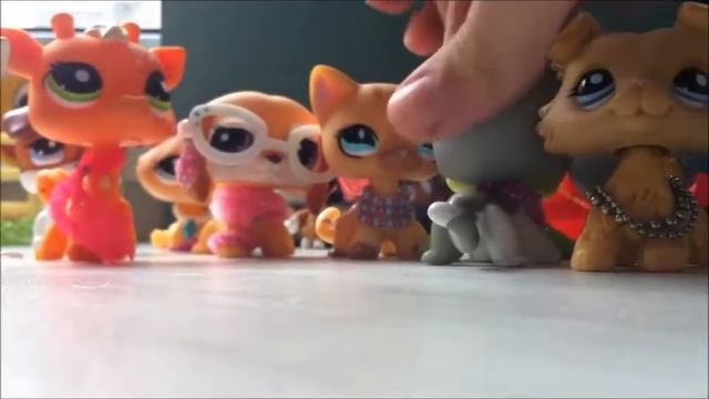 081207bf5c6cea4733dabf3e29a0c46c