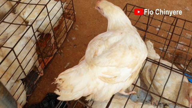 FOLLOW ME TO MARKET | NEW NKWO UMUNZE MARKET | Flo Chinyere