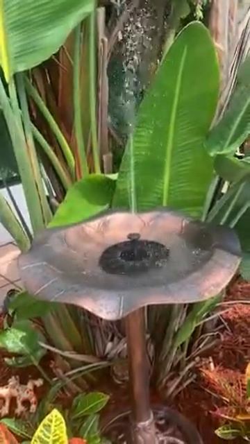 Solar Birdbath Fountain Pump