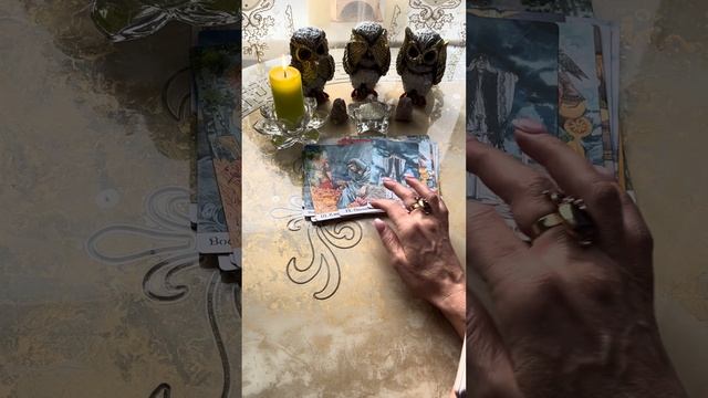 КАРТА ДНЯ НА 11 МАЯ 2024 ГОДА