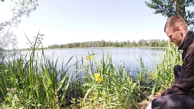 ОЦЕ КАБАНИ КЛЮВАЛИ!Давно в мене такої невдачі не було/ Рибалка на махові вудки в травні