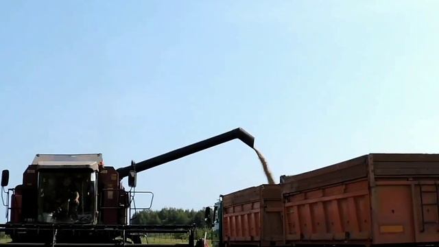 Механизатор Толочинского консервного завода Сергей Соловьёв намолотил 2000 тонн зерна