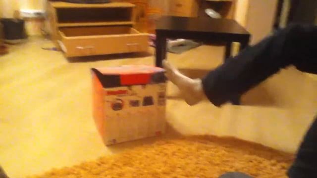 кот коробочник.MOV