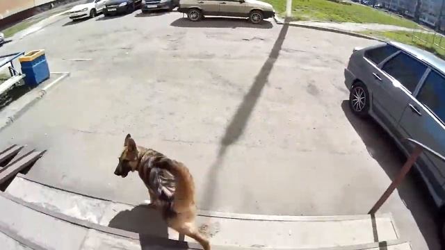 8e049c78e799137670aede23944aa6ce