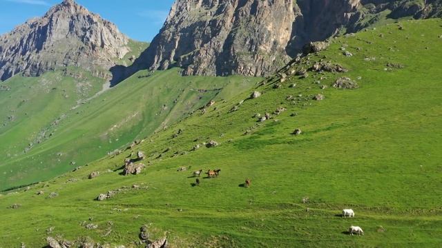 Музыка Сергея Чекалина! Сборник Самых Невероятно Красивых и Нежных Мелодий, музыка для души