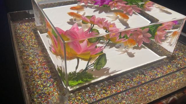 Арт музей аквариум. Токио. Art Museum Aquarium (2024) Tokyo.