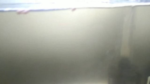 AIRATOR Yang Cocok YANG PUNYA AQUARIUM BANYAK!!