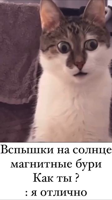 Как ты? Вспышки на солнце, ретроградный меркурий