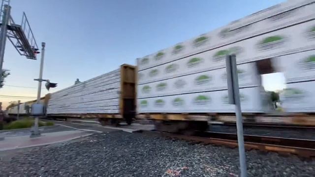 Union Pacific 2540 Manifest Freight Train