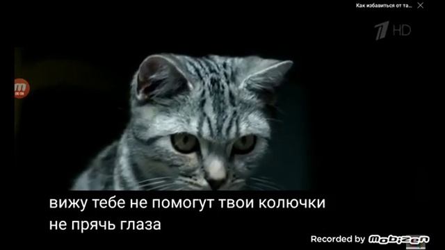 Маркетинговый мастер-квест