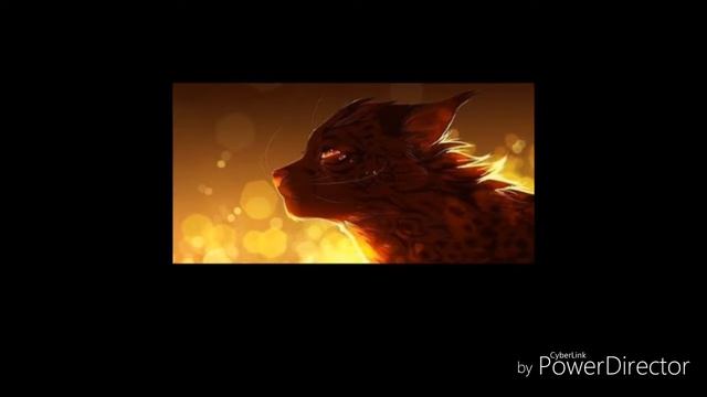 172c90ae396c2be3acd5b74055e75daf