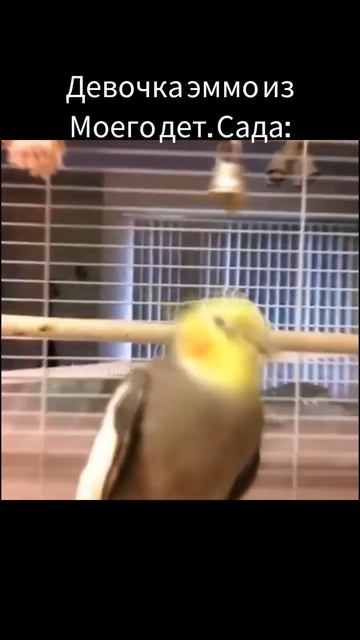 Воспитатель выходит из спальни во время тихого часа: